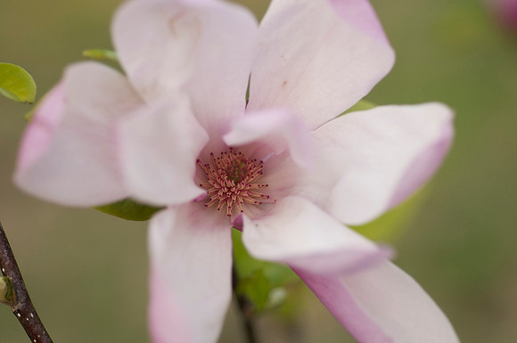 DSC_0097