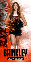 c HallieBrinkley