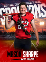 f MasonSharpe